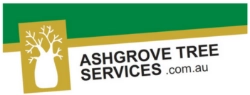 Ashgrove Tree Services Brisbane