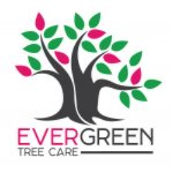 Evergreen Tree Care Brisbane