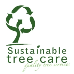 Sustainable Tree Care Brisbane
